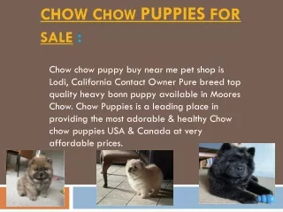 Puppy chow