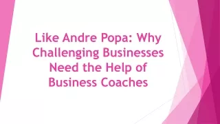 Like Andre Popa Why Challenging Businesses Need the Help of Business Coaches
