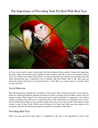 the importance of providing your pet bird with