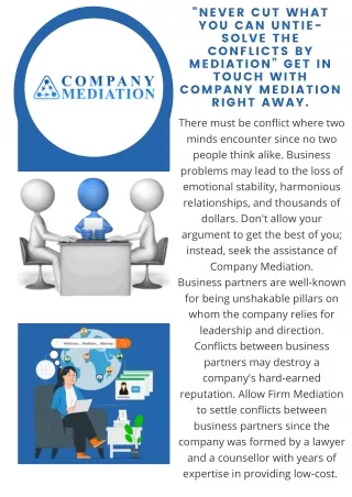 Seeking For Business Partner Mediation