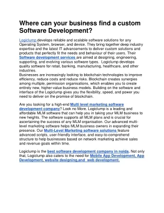 where can your business find a custom software