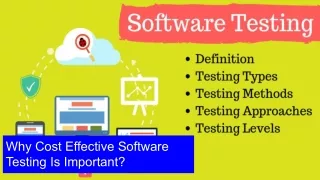 Why Cost Effective Software Testing Is Important_