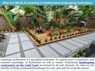 Why It is Worth To Investing in Professional Landscaping Contractors