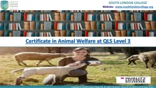 Level 3 Animal Welfare Certificate Course at QLS