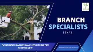 Plant Health Care Specialist Everything You Need To Know - Branch Specialists Texas