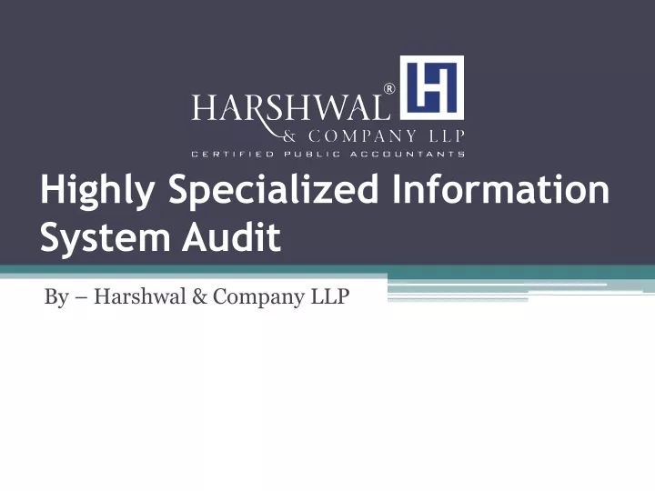 highly specialized information system audit