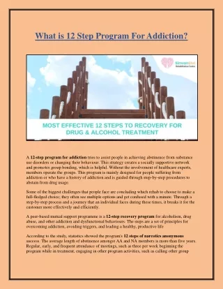 what is 12 step program for addiction