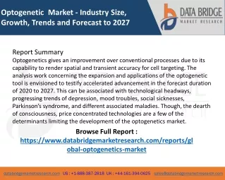 optogenetic market industry size growth trends