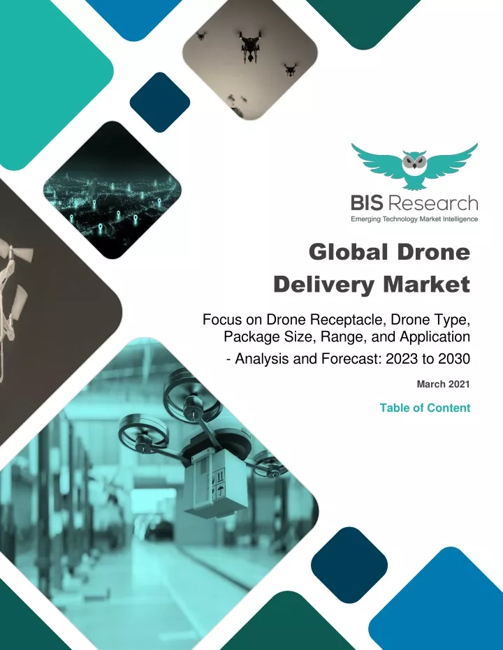 global drone delivery market