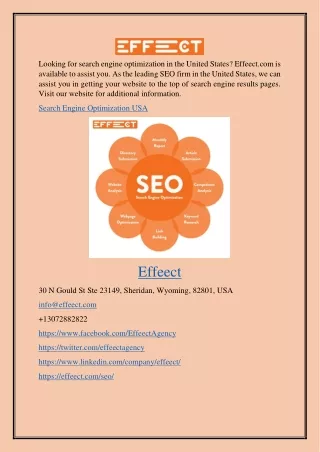 Search Engine Optimization Usa Effeect.com