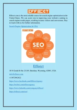 Search Engine Optimization In Usa Effeect.com