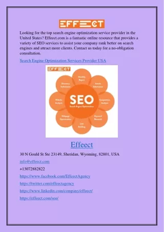 Search Engine Optimization Services Provider Usa Effeect.com