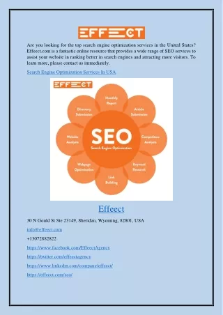 Search Engine Optimization Services In Usa Effeect.com