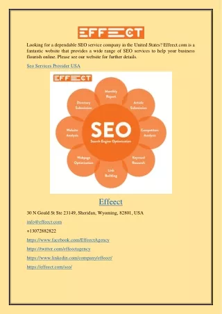 Seo Services Provider Usa Effeect.com