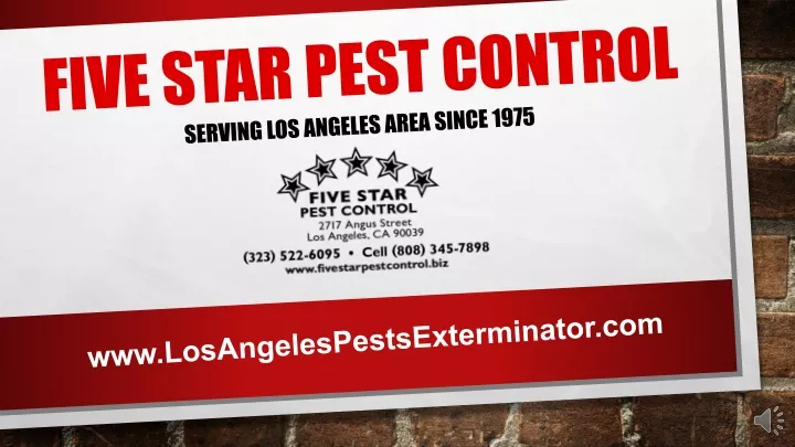 five star pest control