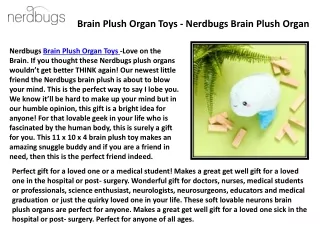 Dr Ronak Mehta - NerdBugs Team - Medical Human Organs Plush Toys