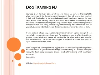 dog training nj