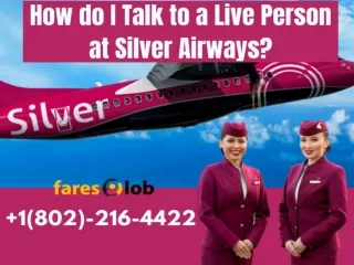 How do I Talk to Live Person at Silver Airways