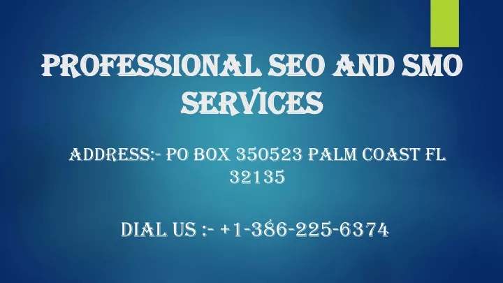 professional seo and smo services