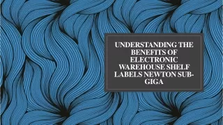 understanding the benefits of electronic warehouse shelf labels newton sub giga