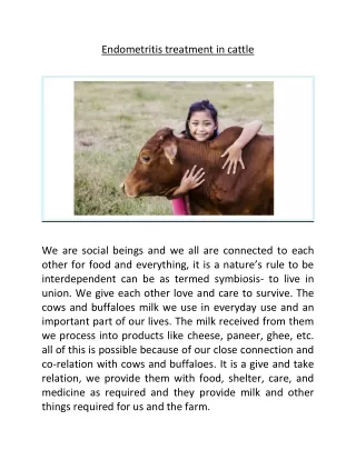 endometritis treatment in cattle