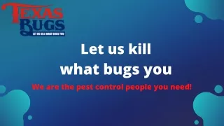Mosquito Pest Control Cypress - Texas Bugs