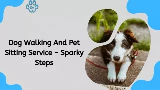 Dog Walking And Pet Sitting Service - Sparky Steps