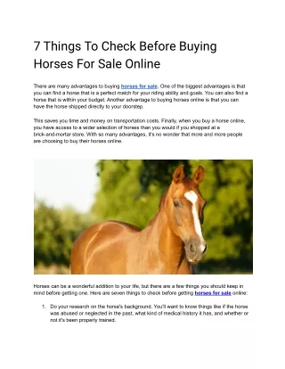 7 Things To Check Before Buying Horses For Sale Online