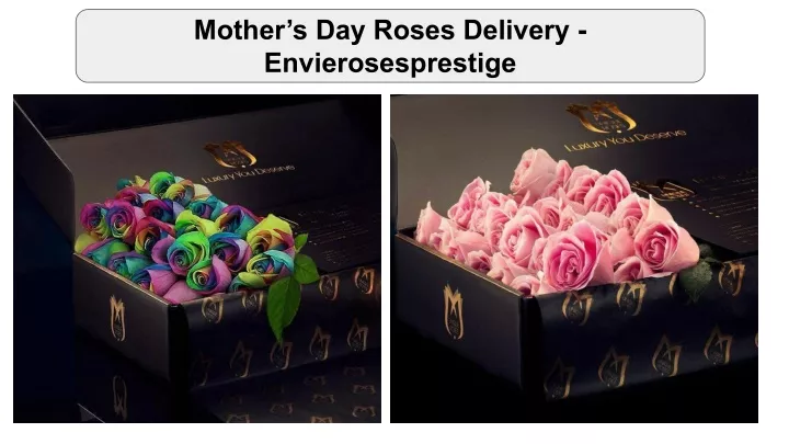 mother s day roses delivery envierosesprestige