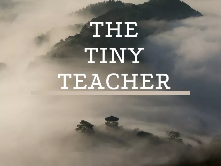 the tiny teacher
