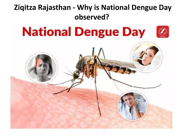 ziqitza rajasthan why is national dengue