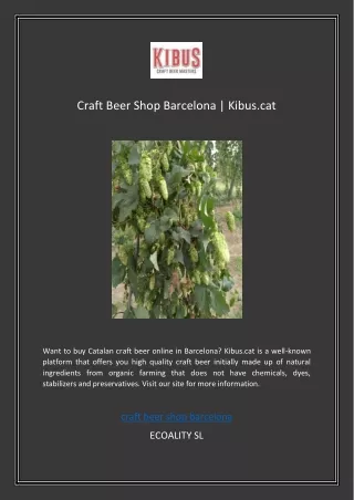 Craft Beer Shop BarcelonaCraft Beer Shop Barcelona  Kibus