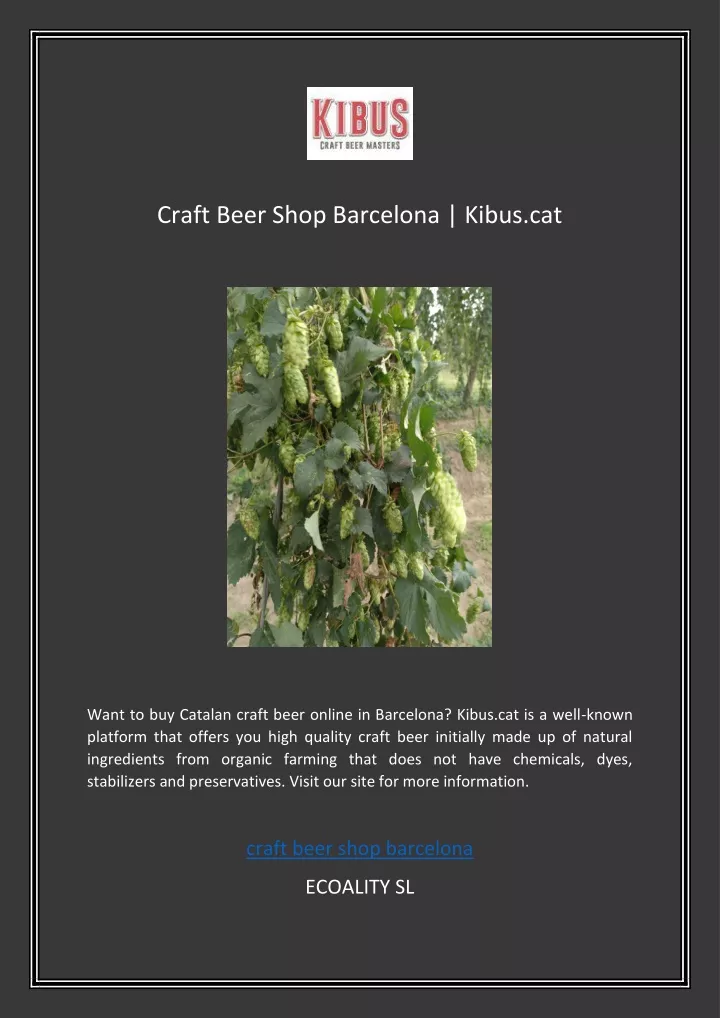 craft beer shop barcelona kibus cat