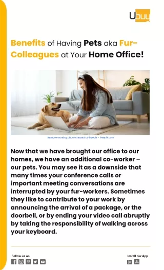 Benefits of Having Pets aka Fur-Colleagues at Your Home Office!