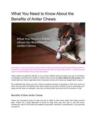 What You Need to Know About the Benefits of Antler Chews
