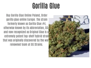 gorilla glue