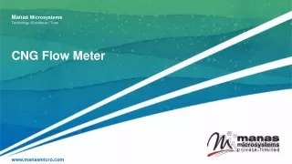 CNG Flow Meter