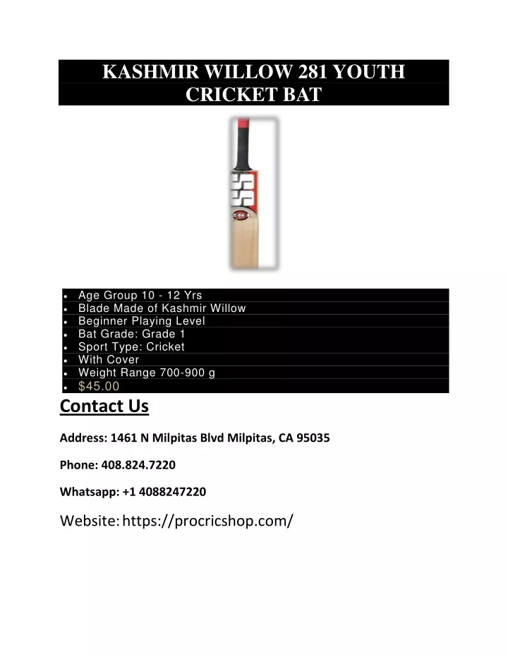 kashmir willow 281 youth cricket bat