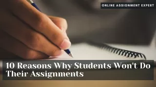 online assignment expert