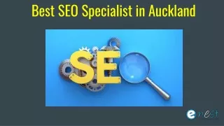 Best SEO Specialist in Auckland