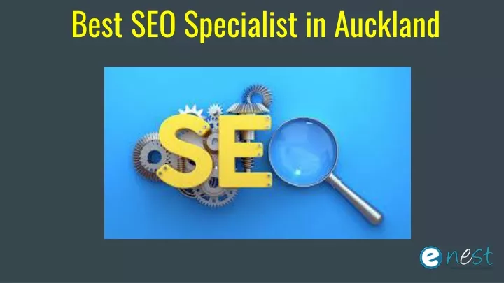 best seo specialist in auckland