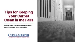 Tips for Keeping Your Carpet Clean in the Falls