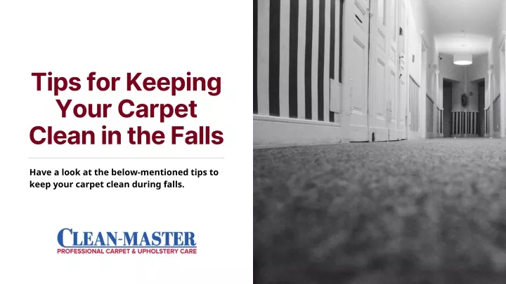 tips for keeping your carpet clean in the falls