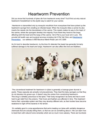 Heartworm Prevention