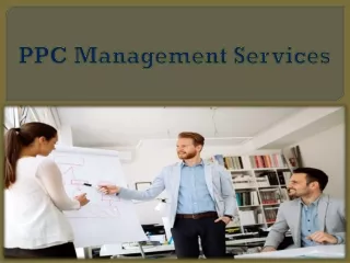 ppc management services