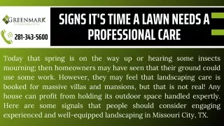 Signs It's Time A Lawn Needs A Professional Care