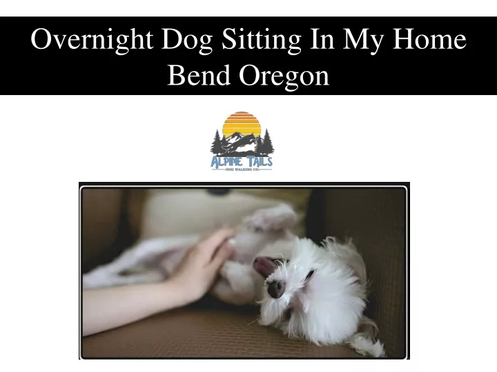 overnight dog sitting in my home bend oregon