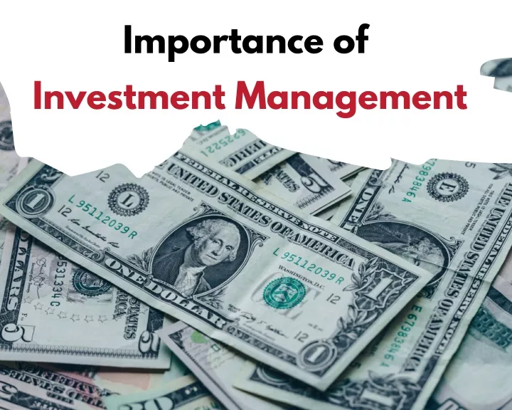 importance of investment management