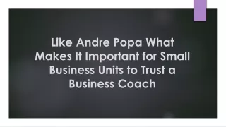 Like Andre Popa What Makes It Important for Small Business Units to Trust a Business Coach