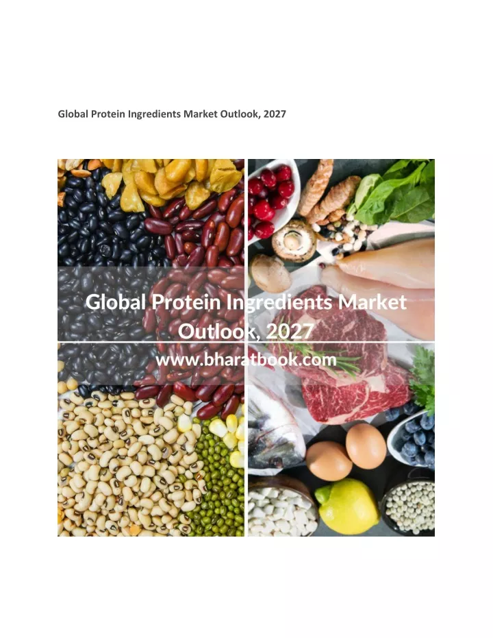 global protein ingredients market outlook 2027